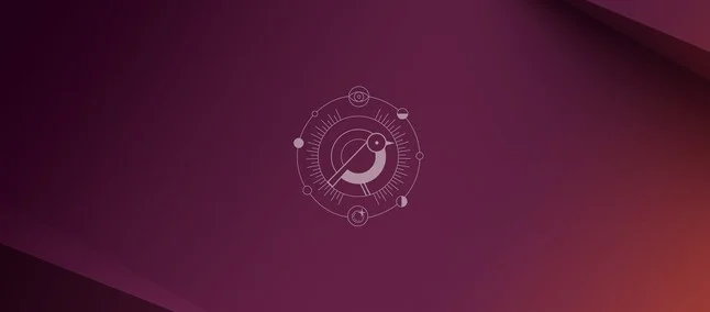 Scopri di più sull'articolo Ubuntu 24.10 Oracular Oriole